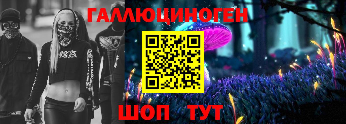 Зерноград  Галлюциногенные грибы Psilocybe  Вход с VPN 