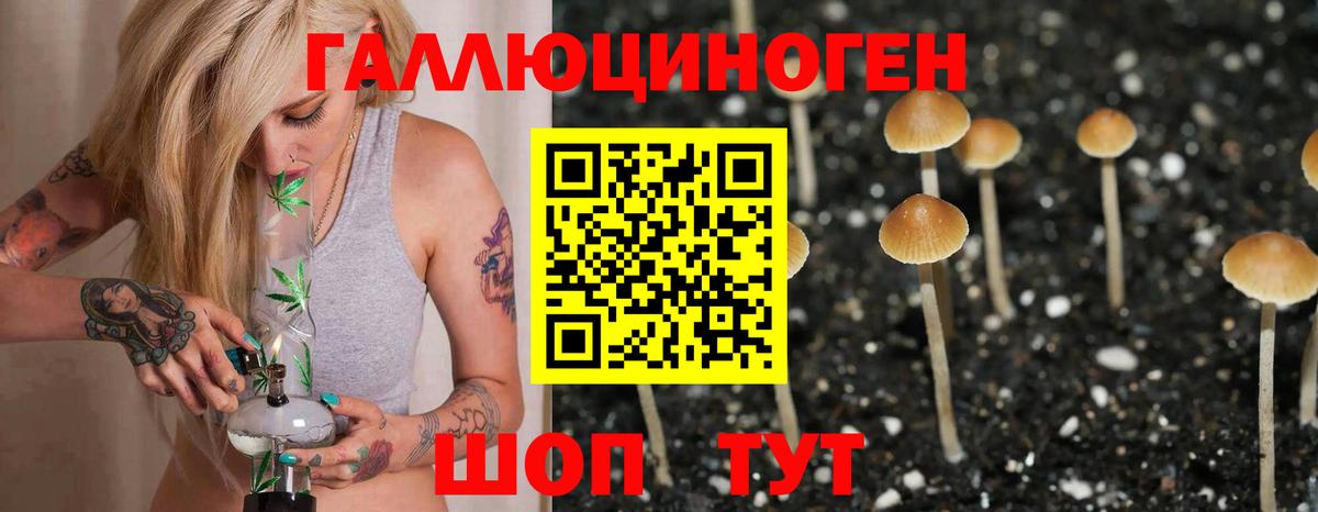 Псилоцибиновые грибы Cubensis Зерноград